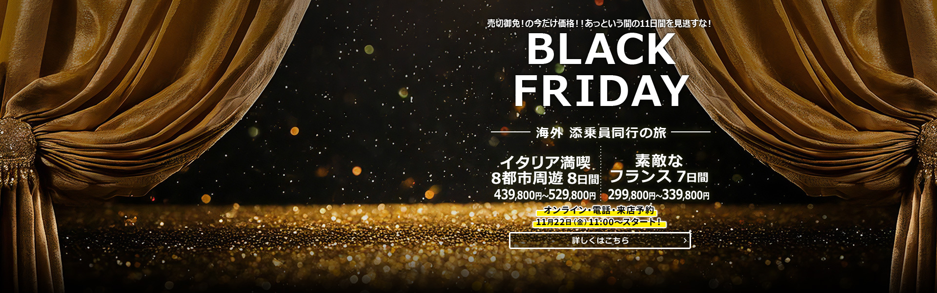 BLACK FRIDAY_添乗員同行