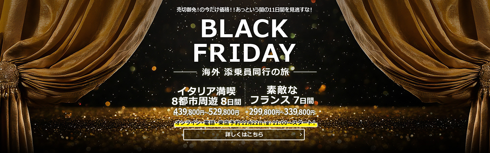 BLACK FRIDAY_添乗員同行