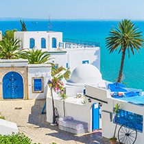 【チュニジア】世界遺産「カルタゴ遺跡」と青と白の街「シディブサイド」