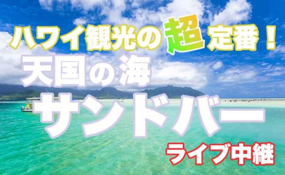 ハワイのおすすめ情報をお届け！～オアフ島巡りライブツアー～