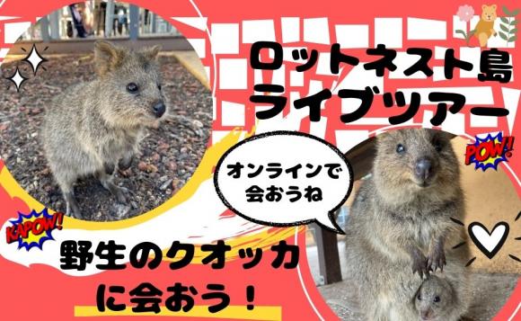 西オーストラリア 世界一幸せな動物 クオッカに出会うロットネスト島ライブツアー His オンラインツアー