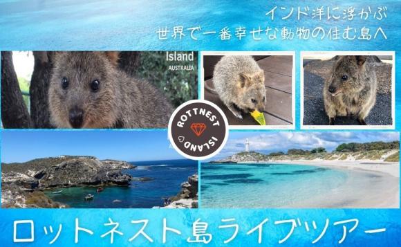 西オーストラリア 世界一幸せな動物 クオッカに出会うロットネスト島ライブツアー His オンラインツアー