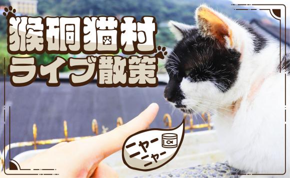 生中継 世界6大猫スポットの一つ 台湾 猴硐猫村 でブラ散歩 His オンラインツアー