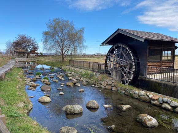 オンライン体験 宇都宮バーチャルツアー 本州にお住まいの方限定 His オンラインツアー