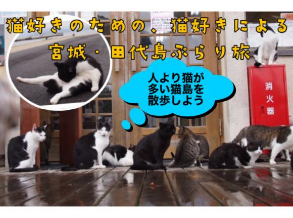 猫好きのための 猫好きによる 宮城 田代島 ぷらり旅 His オンラインツアー