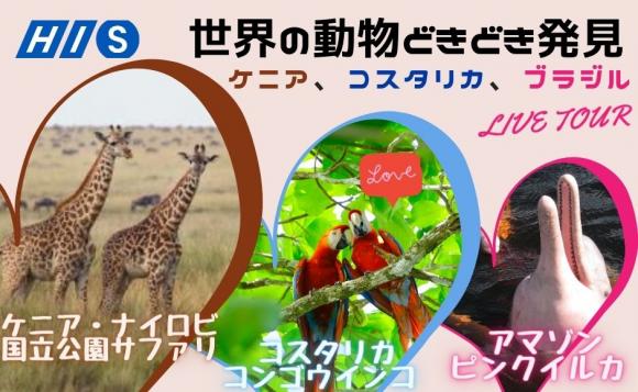 3都市生中継 世界の動物どきどき発見ライブツアー ケニア コスタリカ ブラジルの動物に出会う90分 His オンラインツアー