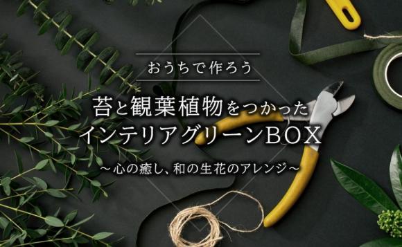 おうちで作ろう 苔と観葉植物をつかったインテリアグリーン Box ご当地自慢 知多木綿限定ギフト His オンラインツアー