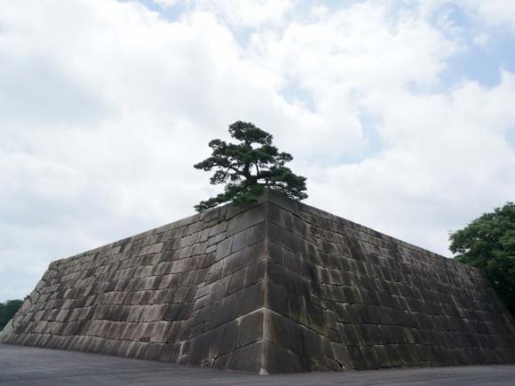 オンラインで歩こう　皇居東御苑