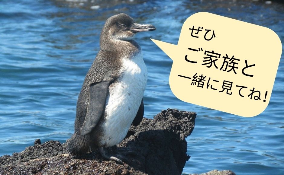 あつまれどうぶつの島 世界遺産ガラパゴス諸島の動物たちと仲良くなろう His オンラインツアー