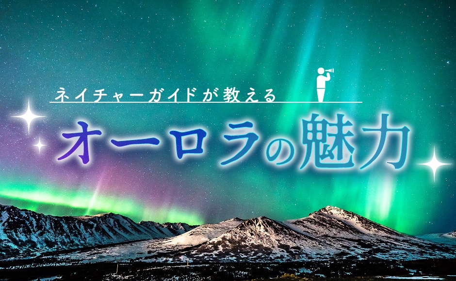 ネイチャーガイドが教える地球上最大規模の自然現象 オーロラ の魅力 His オンラインツアー