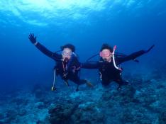 沖縄で人気の沖縄本島 日帰り離島ツアー 比較 予約 His Lealea Okinawa