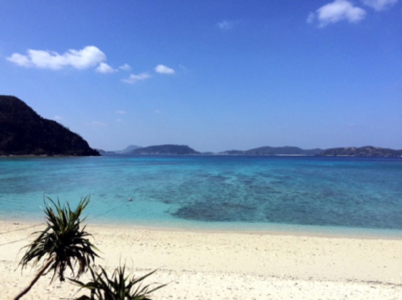 Web限定 高速船マリンライナーとかしきで渡嘉敷島 とかしくビーチ海水浴ツアー H I S Lealeaokinawa