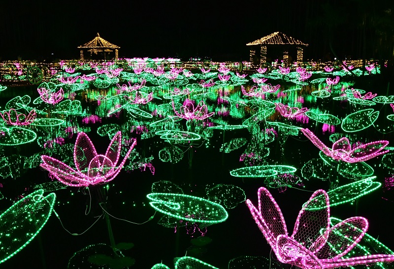 東南植物楽園 チケット 大人2名 - 遊園地