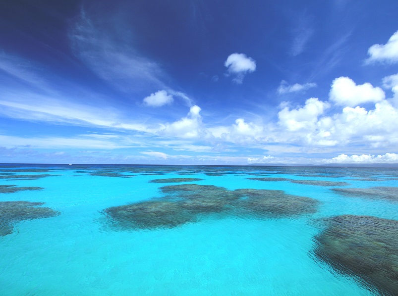 石垣島発 波照間島レンタサイクルセット H I S Lealeaokinawa