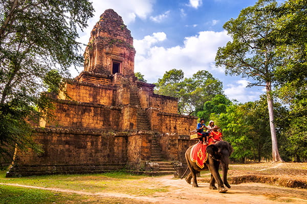カンボジアと象
