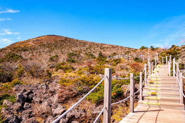 漢拏山登山