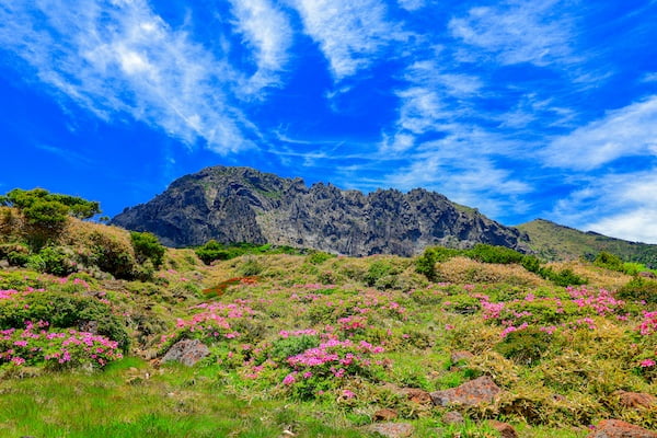 漢拏山