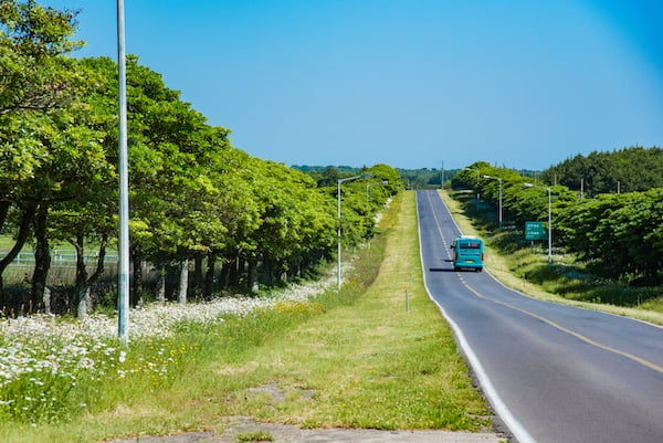 お化け道路（トッケビ道路）