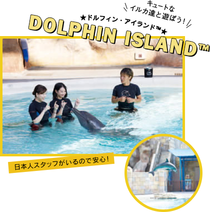 DOLPHIN ISLAND TM