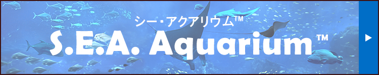 S.E.A. Aquarium TM