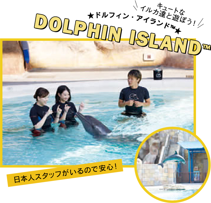 DOLPHIN ISLAND TM