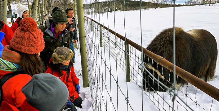 ユーコン野生動物保護区（イメージ）