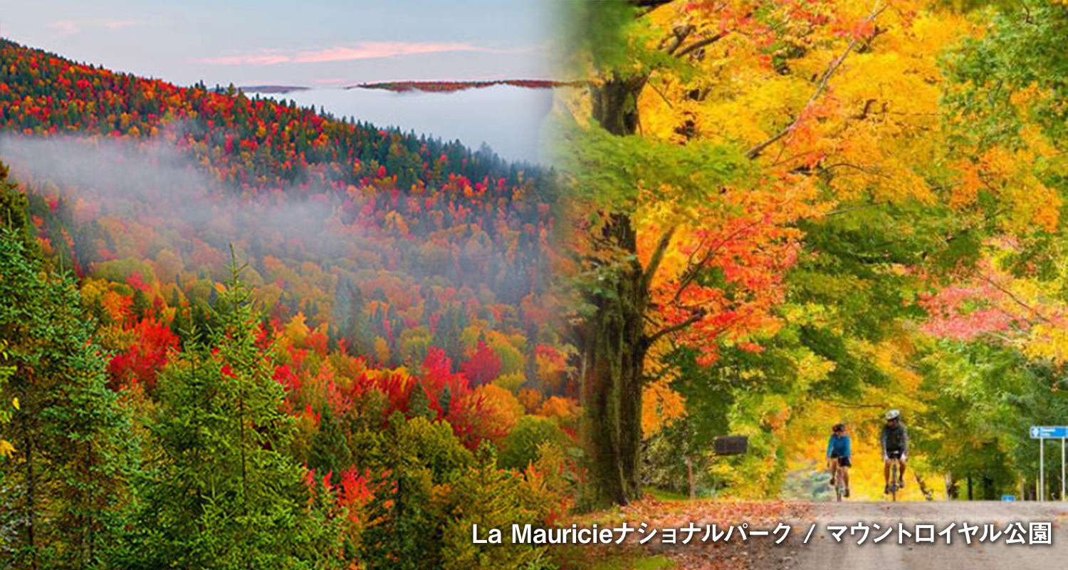 La Mauricieナショナルパーク / マウントロイヤル公園