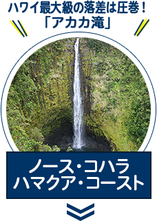 ハワイ島 ハワイ旅行なら Hisハワイ