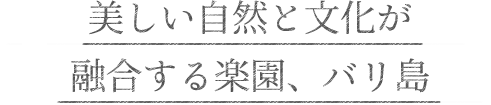 美しい自然と文化が融合する楽園、バリ島