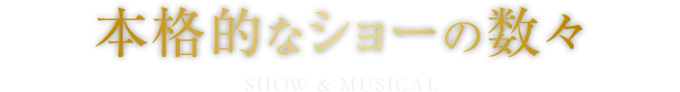 本格的なショーの数々