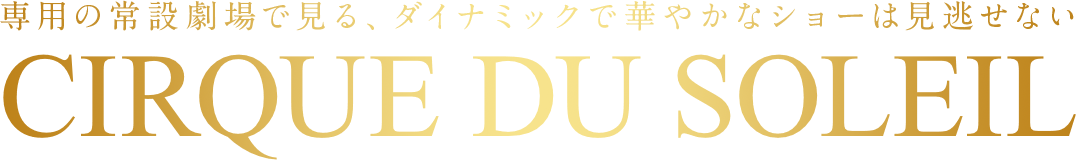 専用の常設劇場で見る、ダイナミックで華やかなショーは見逃せない