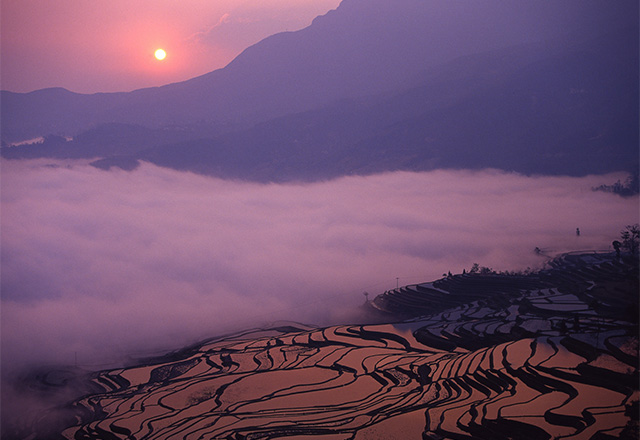 夕暮れに沈む棚田の絶景