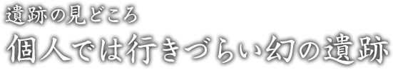 遺跡の見どころ 個人では行きづらい幻の遺跡