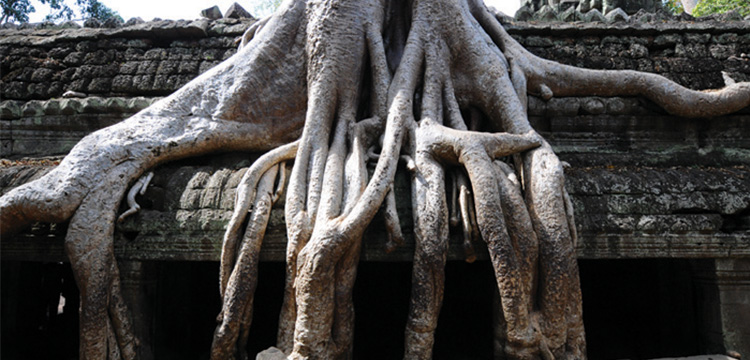 写真：タ・プロム寺院