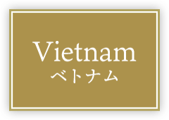 Vietnam ベトナム