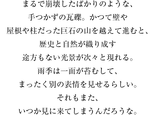 まるで崩壊したばかりのような、手つかずの瓦礫。かつて壁や屋根や柱だった巨石の山を越えて進むと、歴史と自然が織り成す途方もない光景が次々と現れる。雨季は一面が苔むして、まったく別の表情を見せるらしい。それもまた、いつか見に来てしまうんだろうな。