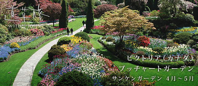 道草旅 With 花 His 旅人になろう 総集編