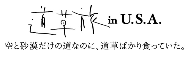 道草旅 In アメリカ西部絶景ドライブ アメリカ His 旅人になろう 総集編