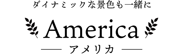 ダイナミックな景色も一緒に America-アメリカ-