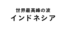 世界最高峰の波 インドネシア