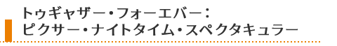 ピクサー･ナイトタイム･スペクタキュラー