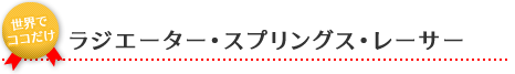 ラジエーター･スプリングス･レーサー