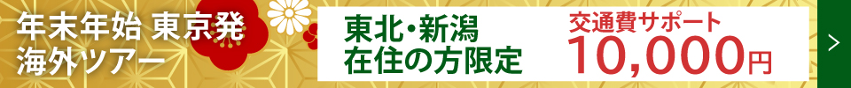 年末年始の東京発海外ツアー1万円交通費サポート