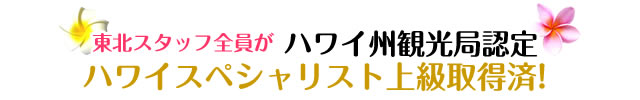 ハワイ検定上級取得