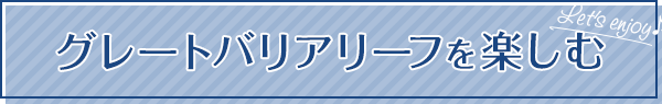 グレートバリアリーフを楽しむ