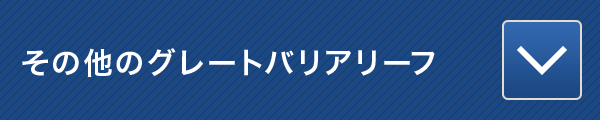 その他のグレートバリアリーフ