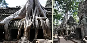 写真：タ・プロム寺院