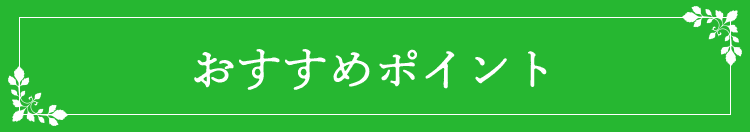 おすすめポイント