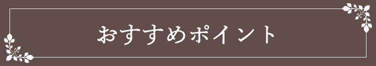 おすすめポイント